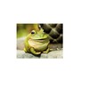 Evergreen Garden Cute Portly Frog Outdoor Statue and Secret Key