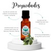 Aceite Esencial de Salvia Natural Puro Aromaterapia