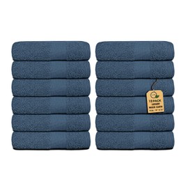 Premium Wash Cloths Pack of 12 (13" x 13") 100% Ring Spun Cotton | Luxury Washcloths | Ultra Soft Face Towels | Highly Absorbent Wash Cloths for face (Slate Blue)