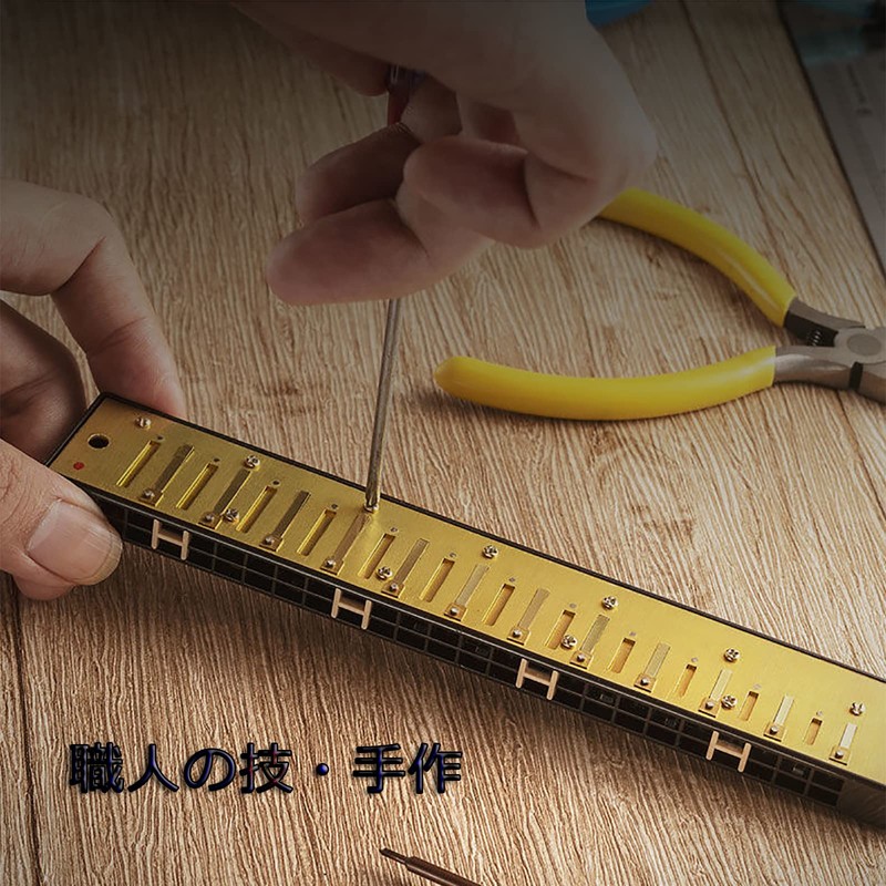 QIMEI Blues Harmonica 10/24 Hole Stainless Steel C Tone Airtight