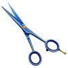 J2 Japanese Steel Barber Hair Cutting Scissors Shears Tempered Stainless