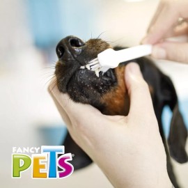 Fancy Pets Sets De Cepillos Dentales Con 3 Piezas Para Perro Fancy Pets Sabor