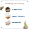 HEITMANN DECO Beach Wooden Lettering 30 x 2 x 11