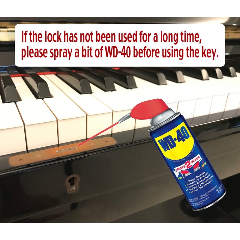 NeoPRO Generic Piano Lock Key (Steinway Hamburg Grand)