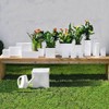 Planter 12cm x 12cm x 12cm