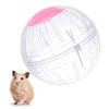 FANKUTOYS Hamster Exercise Ball, 5.7 Inch Transparent Hamster Ball Running Hamster Wheel for Dwarf Hamsters Small Pets to Reduce Boredom and Increase Activity