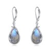 POPLYKE Labradorite Earrings for Women Sterling Silver Labradorite Leaf Dangle