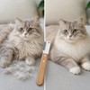Pet Deshedding Comb for Dogs & Cats – Stainless Steel