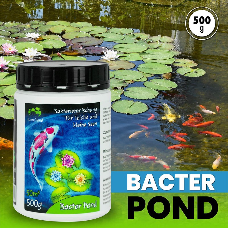 Home Pond Bacter Pond 300 g I Pond Bacteria, which