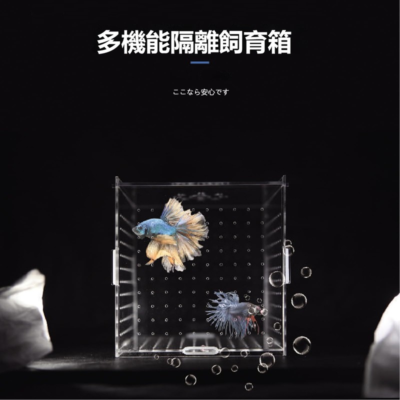 Breeding Isolation Box Isolation Box for Aquarium Incubation Egg Laying