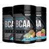 Performance Bcaa Aminos 211 Giant Sports 240g 30 Srv