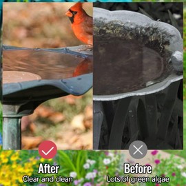 Bird Bath Copper Disk, Reinforced Pure Copper Purification Birdbath Bowl Cleaning Disks Universal Feeder Accessories (A)