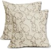 Sweetshow Brown Bunny Easter Pillow Covers 18x18 Set of 2