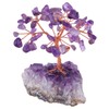 Mookaitedecor Amethyst Crystal Tree with electroplated colourful quartz base and