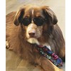 G010 Dog Pet Costume Prop Aviator Sunglasses Medium Breeds 20-40