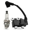 BlueStars 291337001 Ignition Coil with Spark Plug - Compatible with