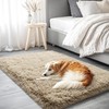 AAFKK 2x3 Area Rug for Bedroom, Small Rugs for Living
