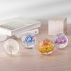 NouvoCrescent Real Dandelion Paperweight - Home Decor Crystal Resin Ball