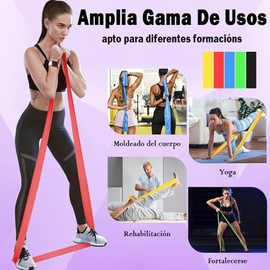 Meajax Bandas de Resistencia 5PCS, Ligas de Resistencia para Ejercicio, Banda Elástica Resistencia para Yoga, Pilates, Bandas Elásticas para Ejercicio