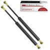 Lift Supports Depot Qty (2) 10mm Steel Socket End Lift