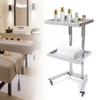 HETEPPTR 2-Tier Metal Salon Rolling Cart Stainless Steel Beauty Spa