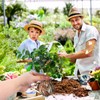 Tree Root Growing Box, Reusable Transparent Plants Asexual Reproduction Grafting