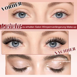 Higu clace Magnetic Eyelashes, Magnetic Eyelashes Without Eyeliner, Magnetic Eyelashes, Natural Look, Strong Magnetic Eyelashes with Applicator, No Glue Required Eyelashes (D)