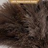 Aldwin Ostrich Feather Duster, 16 inch with Wood Handle Reusable,