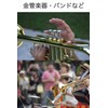 wumio Trumpet Mouthpiece for Practice Matte Gold Brass Band Home