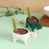 Succulent Planter with Drainage Cat Ceramic Garden Pot Cactus Planter