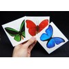 Large Butterfly Temporary Tattoos by Butterfly Utopia (12 Sheets)