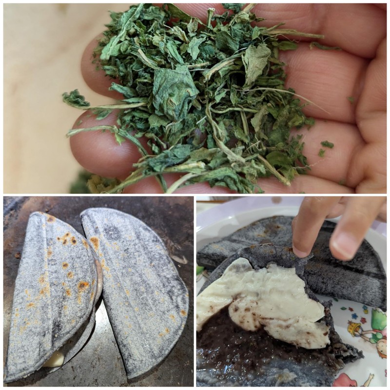 Chilmolli Epazote leaves, dehydrated gourmet 20g/ Feuilles D´Epazote déshydraté/Hojas de