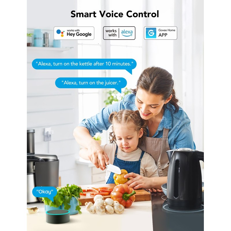 Govee Dual Smart Plug 2 Pack, 15A WiFi Bluetooth Outlet,