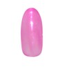Prigel Gel Nail Color EX Peach Drop 801