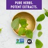 New Chapter New Chapter Lemon Balm Force with Supercritical Lemon