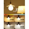 CRLight 5-inch 12W 2700K Opal Dimmable Warm White Large Globe