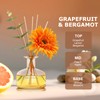Reed Diffusers Set Grapefruit Scent, 7.10 oz Diffusers for Home
