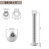 Glvaner (6 Sets) 3/8-16 x 3 Stainless Steel Carriage Bolts