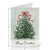 Current Evergreen Christmas Cards - Greeting Cards Set - Set