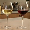 MICHLEY Unbreakable Stemmed Wine Glass 100% Tritan Plastic Dishwasher available