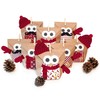 Christmas Owl Craft Set
