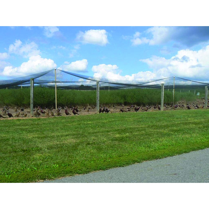 Stromberg’s 2” Mesh Heavy Duty Knotted Aviary Netting, UV Resistant