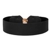 BlackButterfly Wide Cinch Stretchy Elastic Material Waistband Retro Golden Bow
