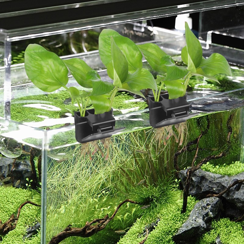 Ztzfacai 1 Pack Hanging Aquarium Plant Holder – 3 Holes
