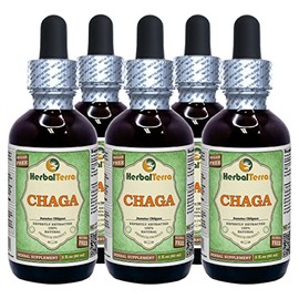 Chaga (Inonotus Obliquus) Glycerite, Dried Whole Mushroom Alcohol-Free Liquid Extract (Brand Name: HerbalTerra, Proudly Made in USA) 5x2 fl.oz (5x60 ml)