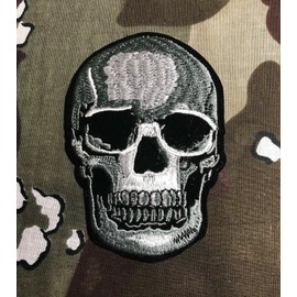 Unbranded Skull Realistic Embroidered Patch S030P