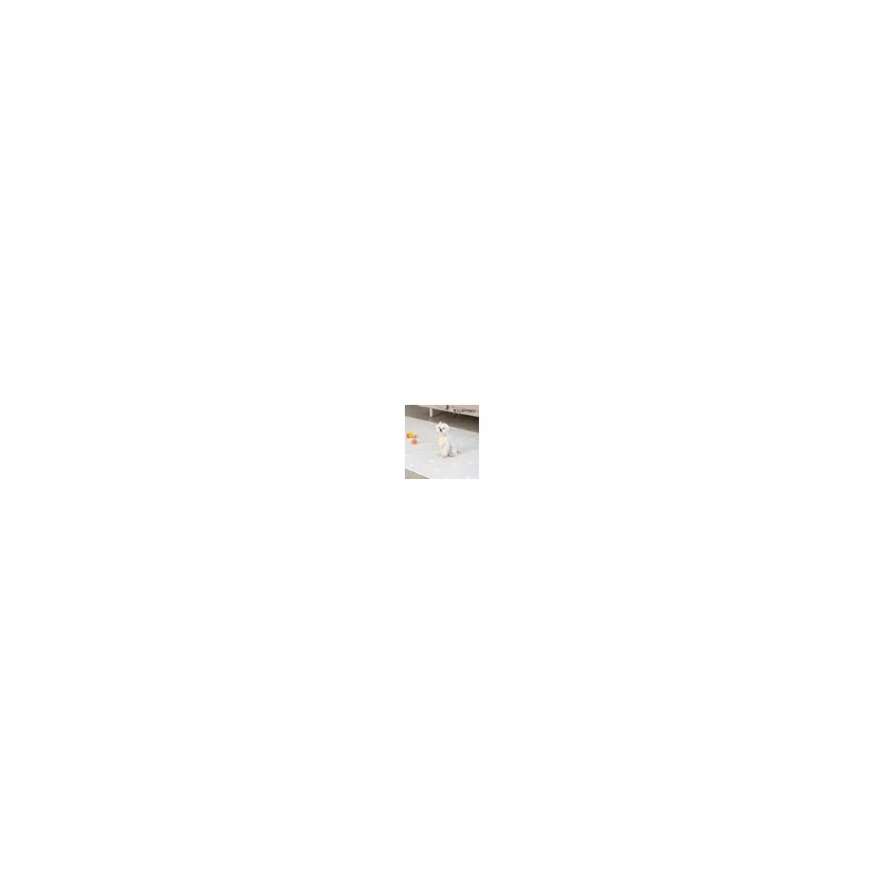 퍼핑 (현대Hmall) [퍼핑] 펫매트 폴딩타입 견종디자인 5단 (240X140X0.6cm) (Hyundai Hmall)