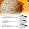 4 Pcs Grapefruit Spoon with Serrated Edge Stainless Steel Fruit