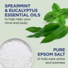 Dr Teal's Exfoliate & Renew Eucalyptus & Spearmint Epsom Salt
