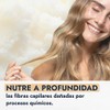 HEBBE Manteca de Karité 1 Kg | Hidratante y Emoliente